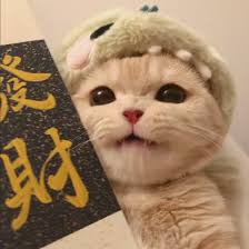 Ảnh đại diện của Thảo